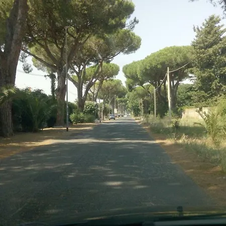 Camera Matrimoniale In Eur Pensionat