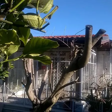 Camera Matrimoniale In Eur Pensionat